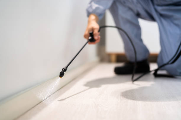Licensed Mosquito Control service in Fort Lauderdale, FL - Show Me Pest Control