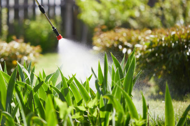 24/7 Emergency Mosquito Control experts in Fort Lauderdale, FL
